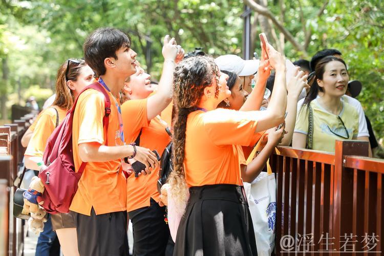 入境游热折射中国魅力 入境游热折射中国魅力